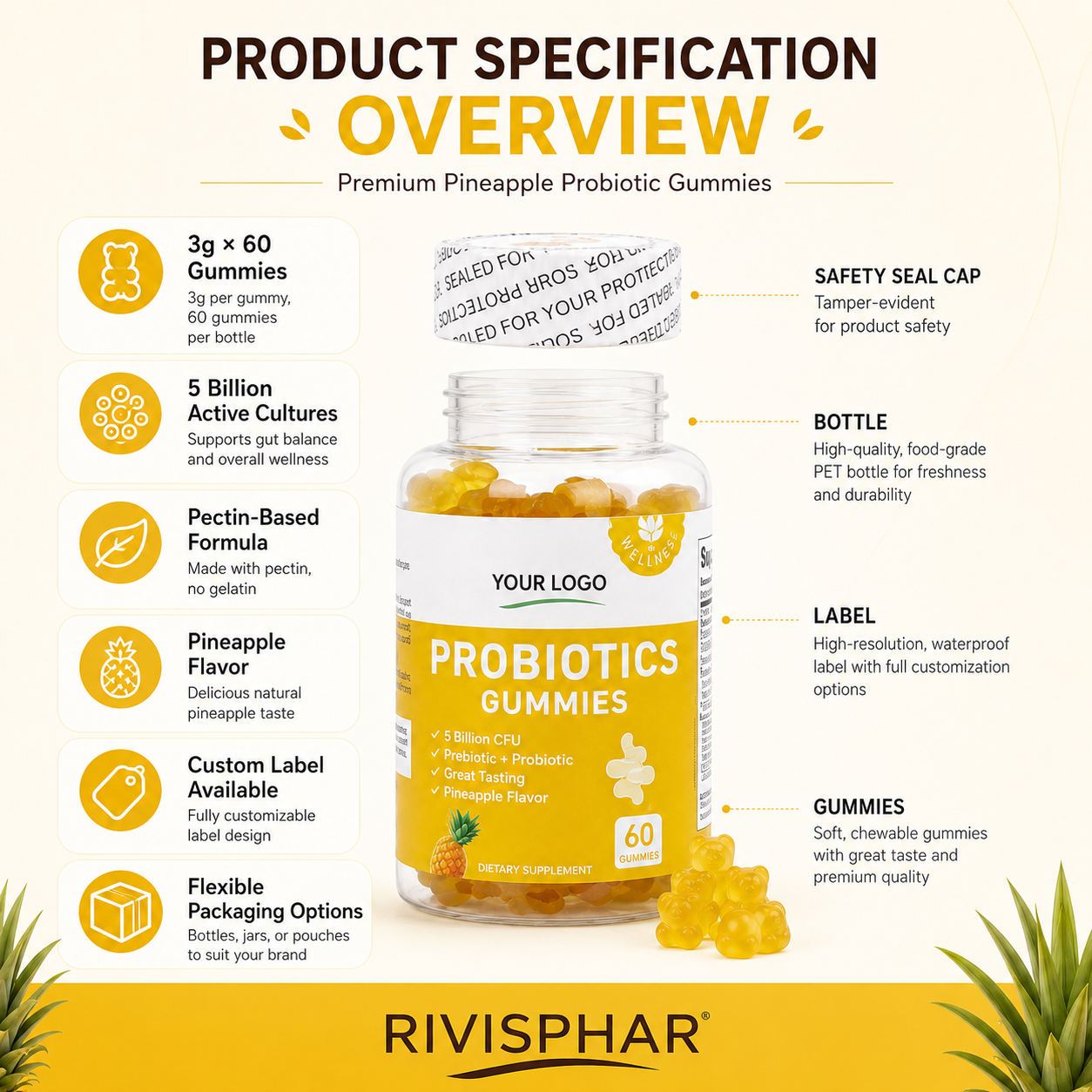 Probiotic Gummies 60 Count | Private Label & OEM Digestive Supplement