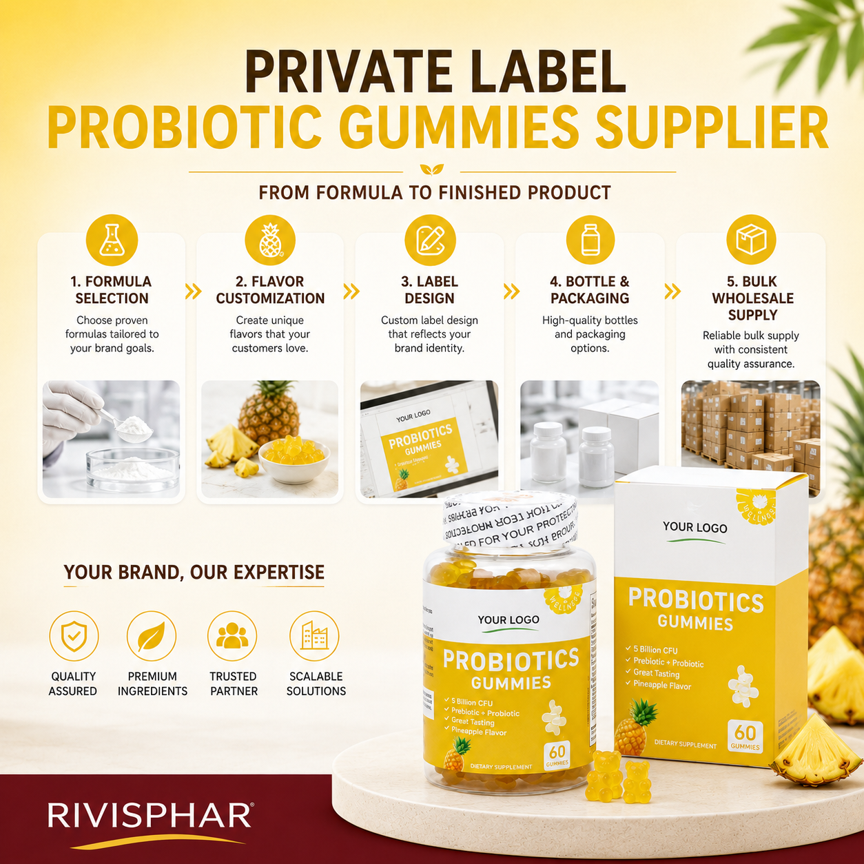 Probiotic Gummies 60 Count | Private Label & OEM Digestive Supplement